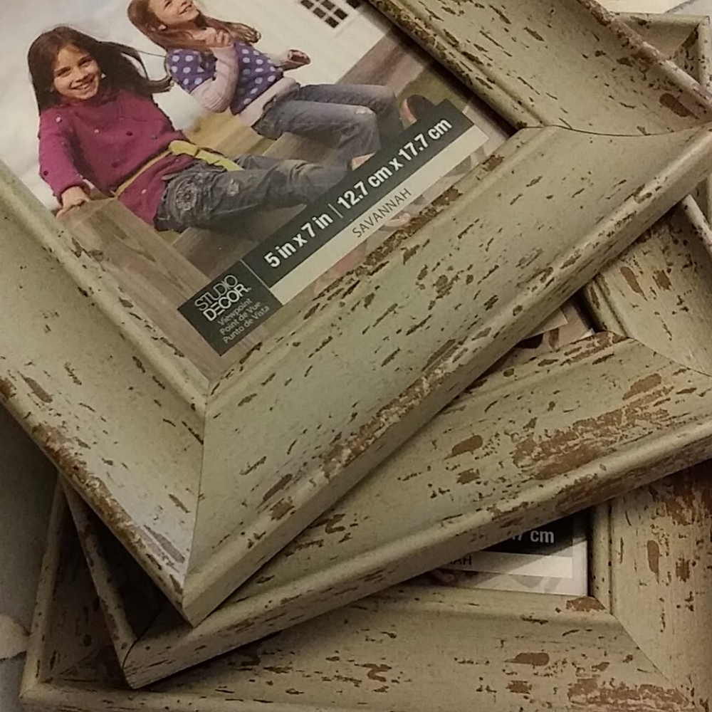 Set of 3 Savannah Picture Frames